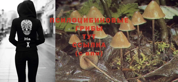 марки nbome Зеленодольск
