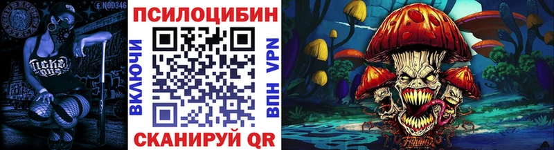мега tor  Камызяк  Псилоцибиновые грибы ЛСД 